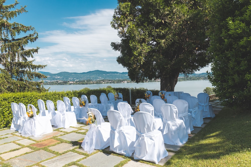 empty white chairs beside trees near body of water