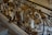 A detailed wrought iron railing is adorned with ornate, golden embellishments and intricate floral designs. The balustrade is part of a staircase in an elegantly decorated interior space with marble steps and classical architecture.
