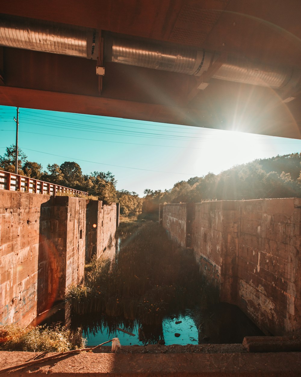 brown concrete bridge