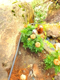 A rustic copper water pump surrounded by vibrant orange marigold flowers is set against a natural rock landscape. The scene includes green foliage and a few scattered rocks, with a garden hose partially visible. The environment appears lush and serene, evoking a sense of tranquility.