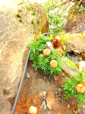 Elegant solar powered pumps in a garden setting.