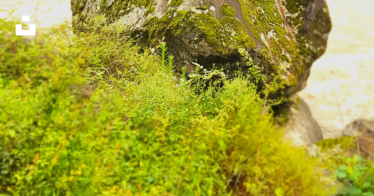 Big Green Rocks Green and gray rock photo – Free Plant Image on Unsplash