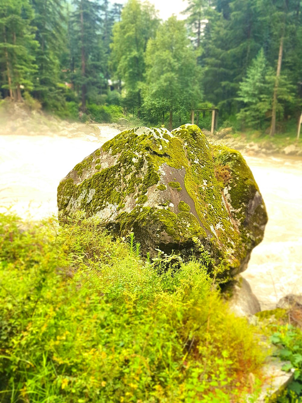 green and gray rock