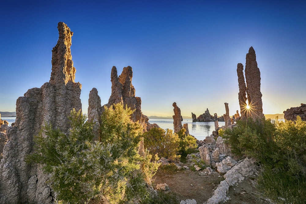 the sun shines through the trees and rocks near a body of water