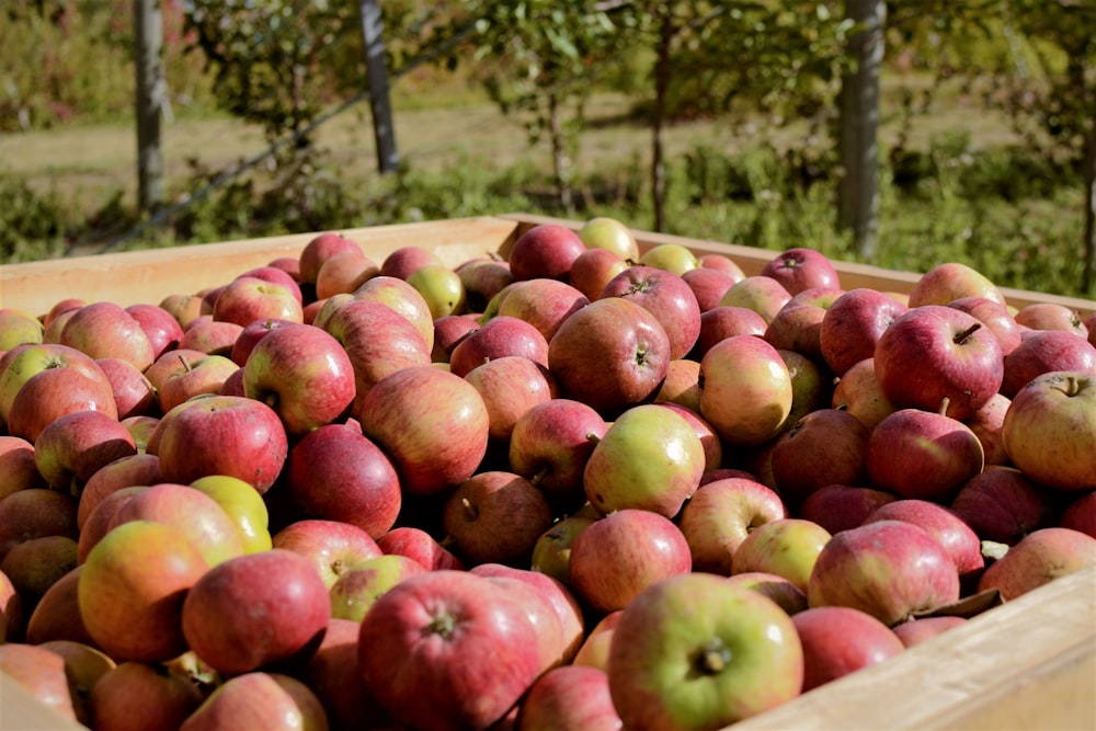 box of apples