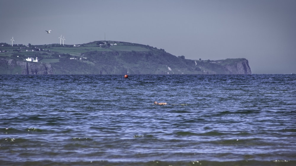 body of water near terrain