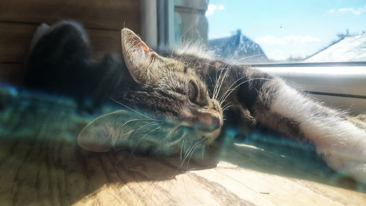 Il tempo di rilassamento