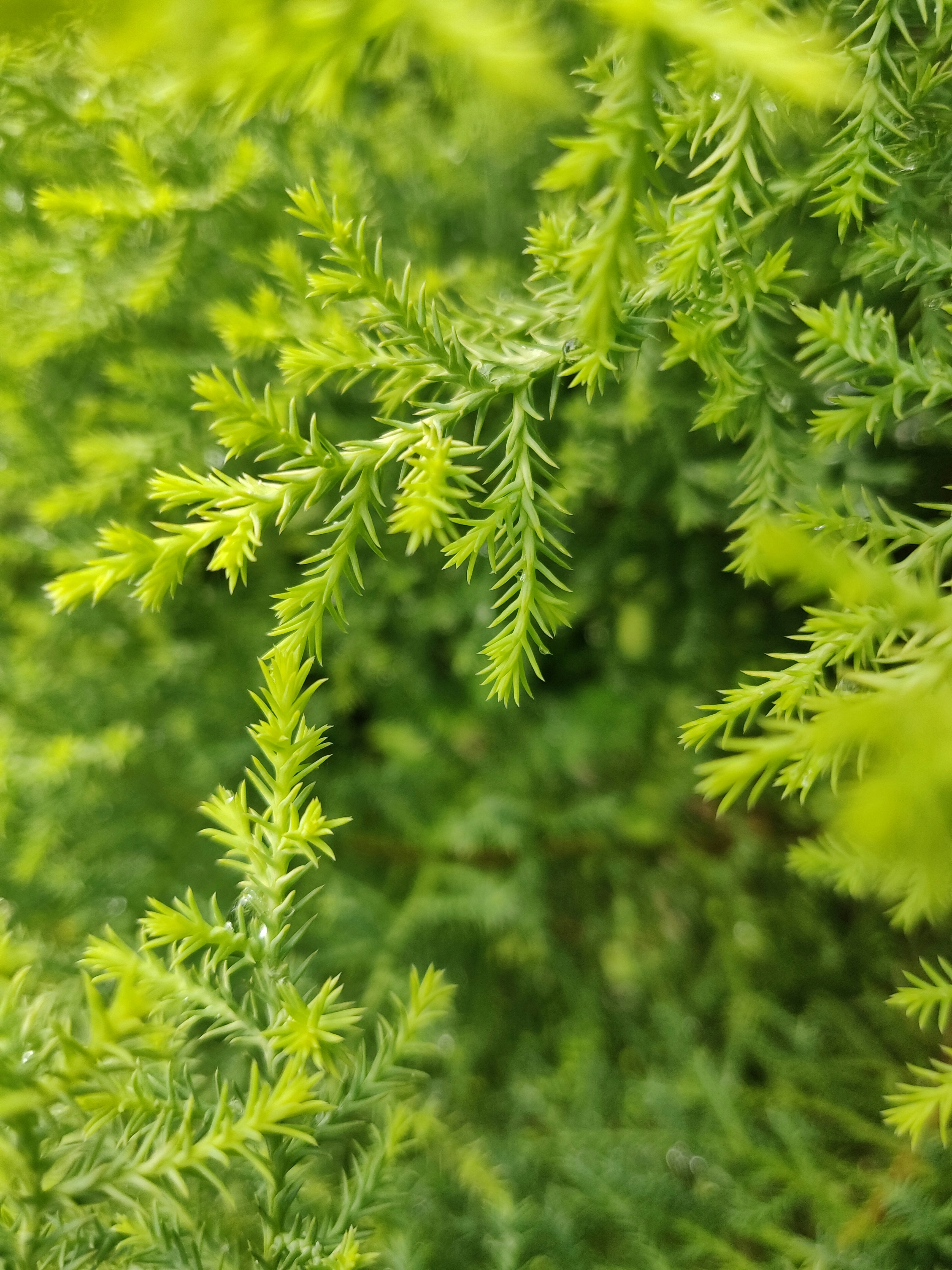 Photo by clistendavis