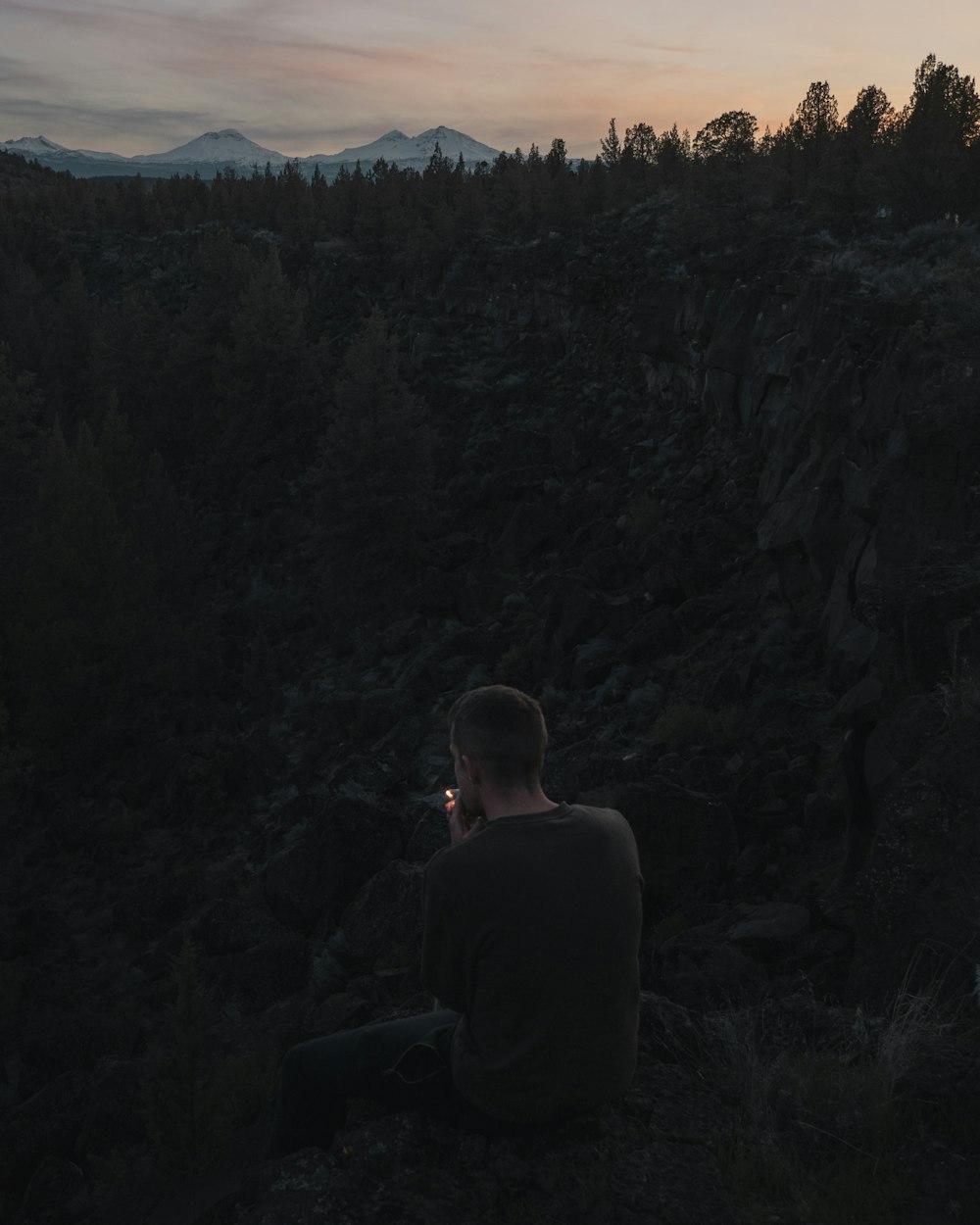 field of trees