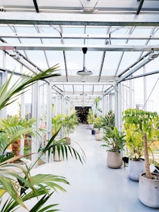 A bright hallway with artwork and plants.
