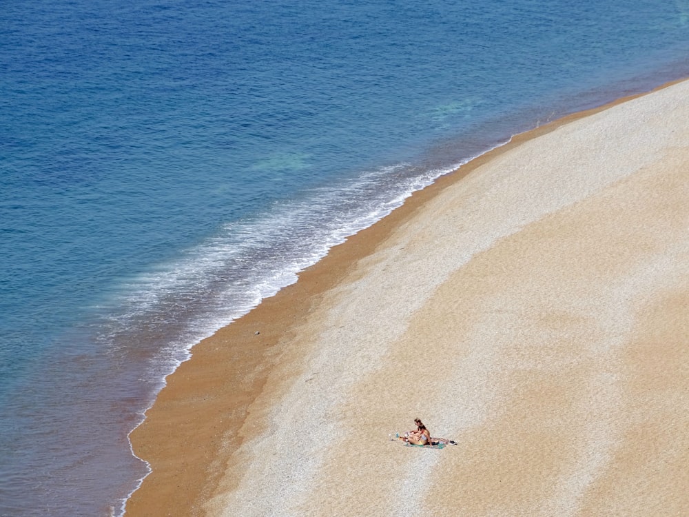 person on shore near body of water