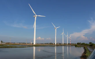 white windmills