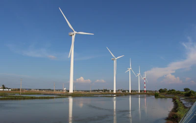 white windmills