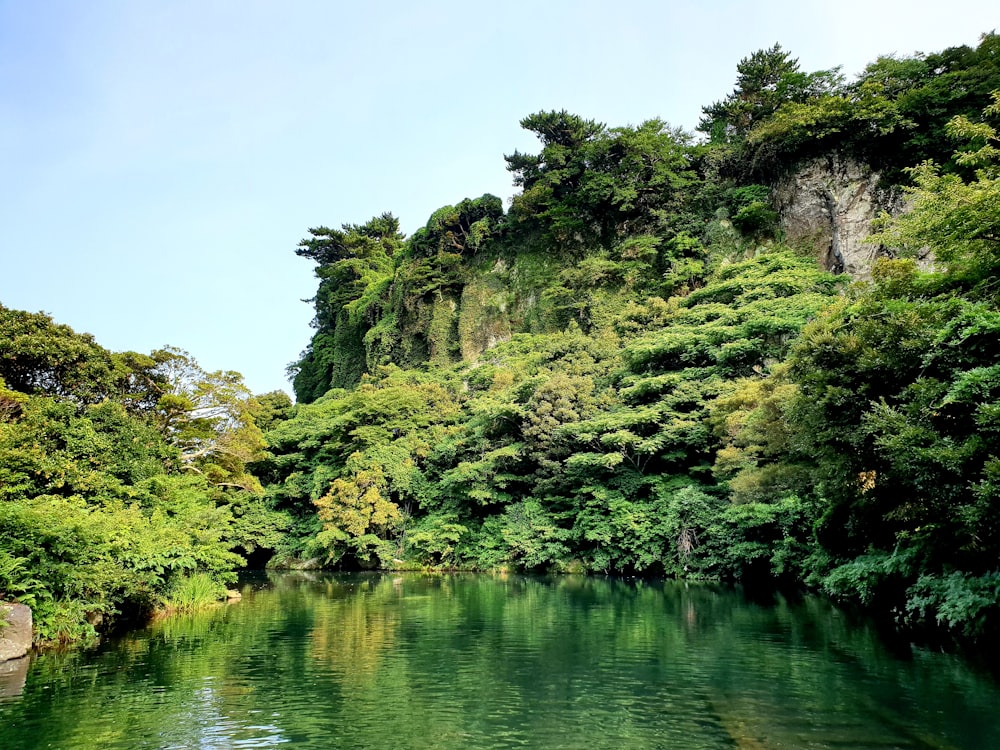 calm water near trees