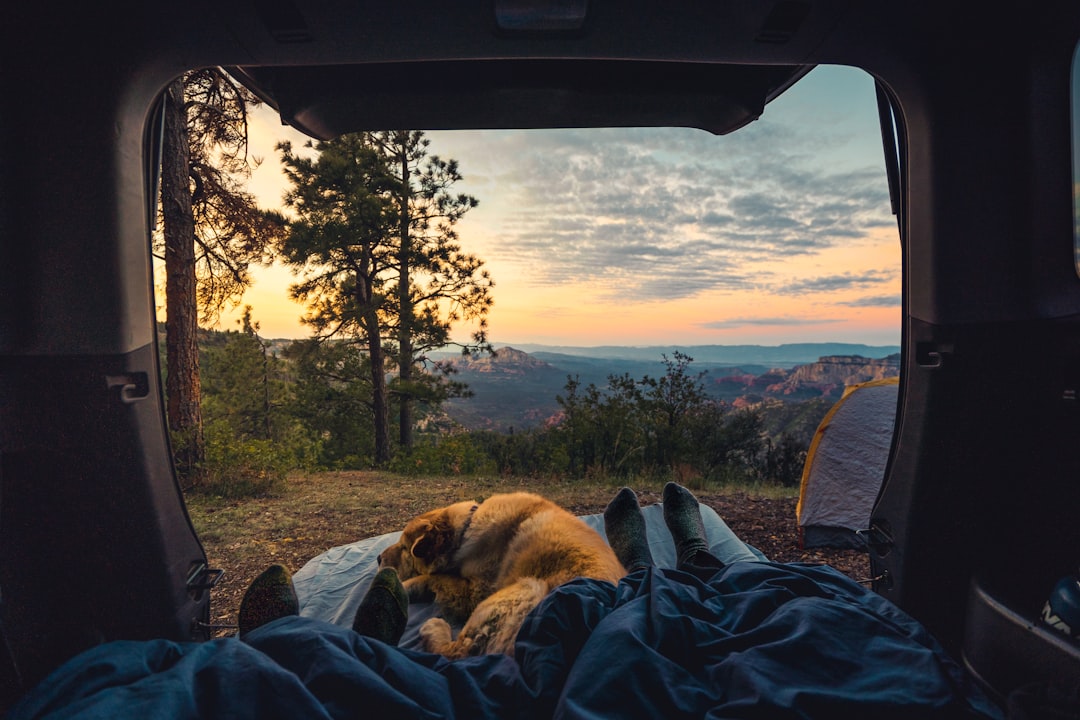 Pitch a Tent in Paradise: The 10 Most Coveted Campsites in Californ… — Pitch a Tent in Paradise