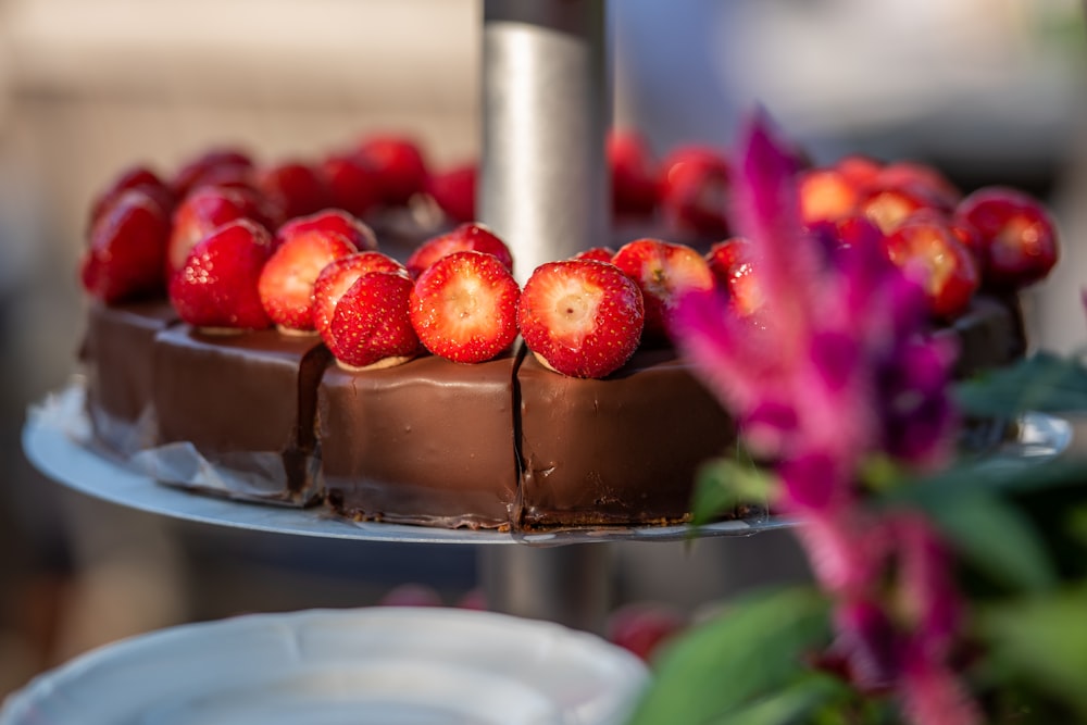 chocolate with berries