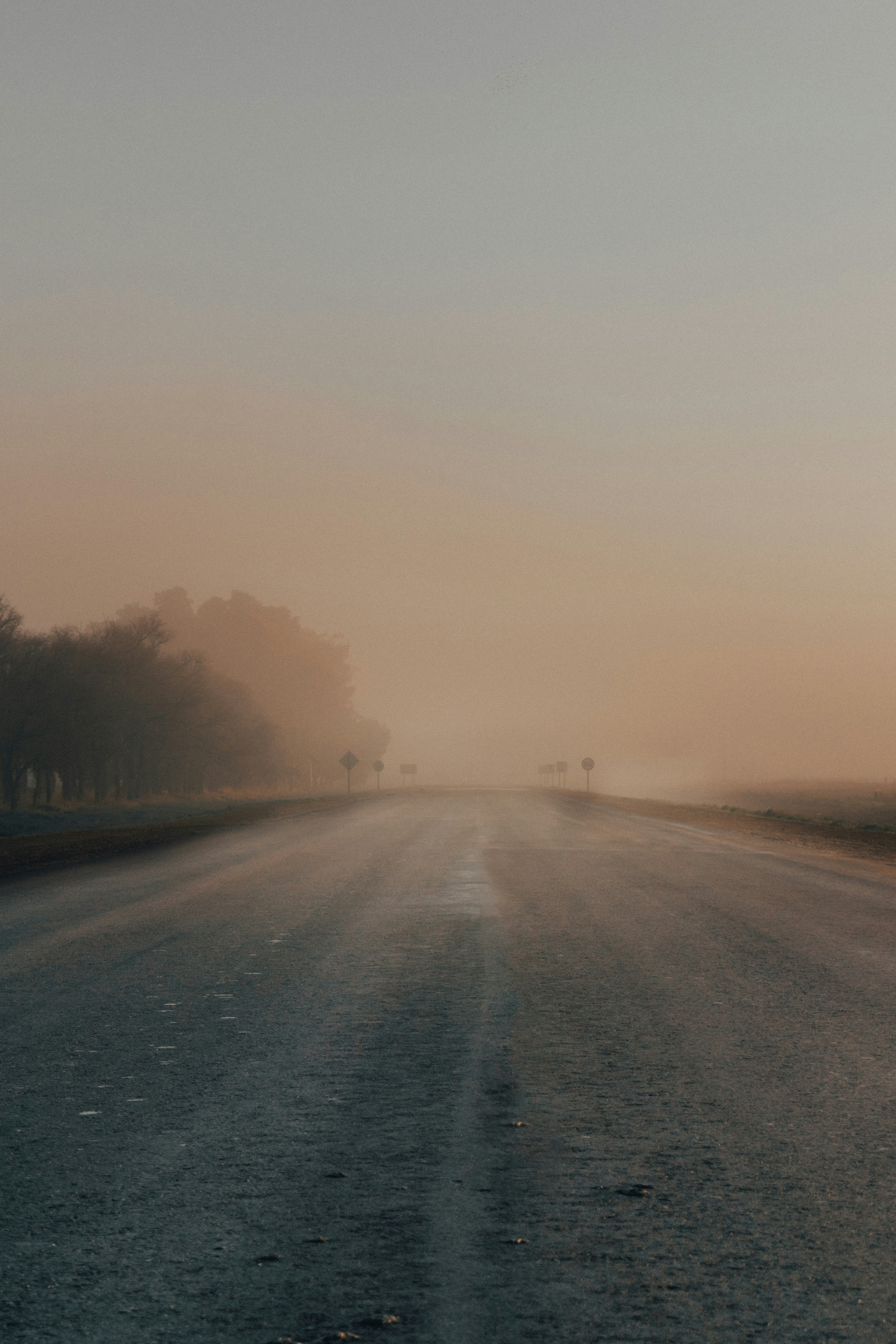 Photo by gasparzaldo