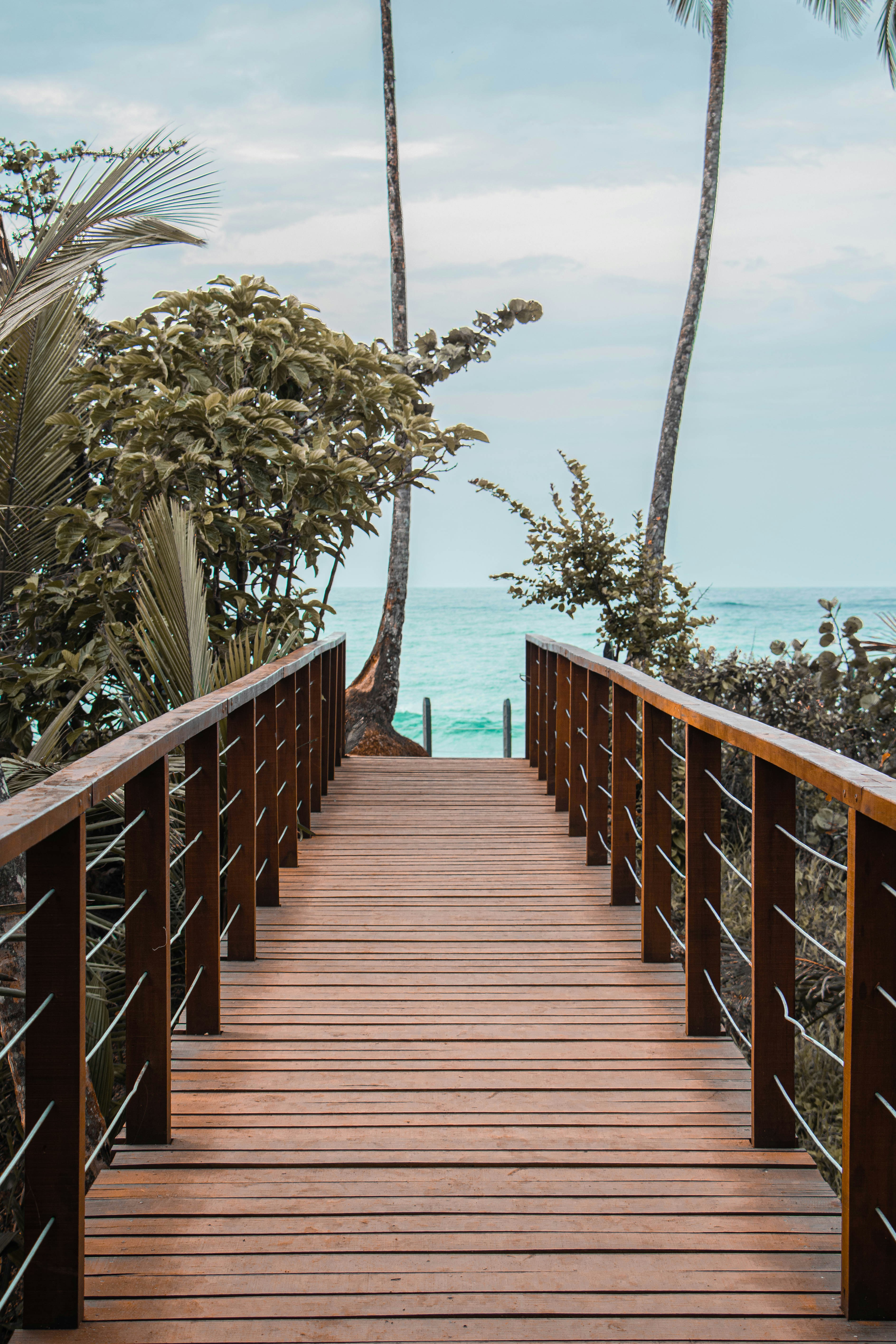 Photo by alexcrphoto