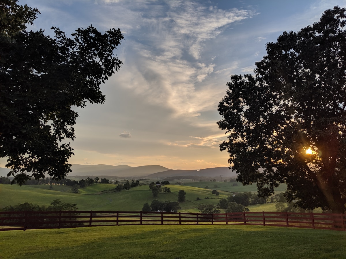 Shenandoah River: Front Royal to Bentonville