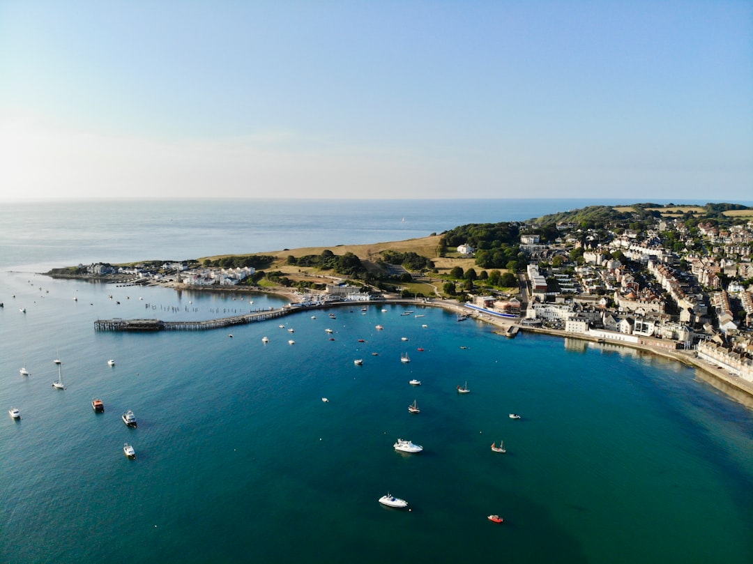 birds eye photography of body of water