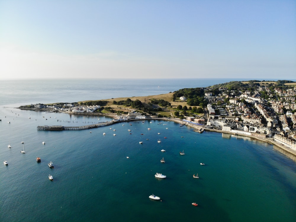 birds eye photography of body of water