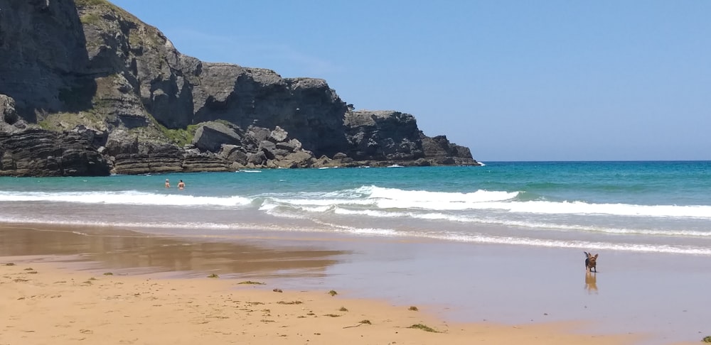 calm water near cliff