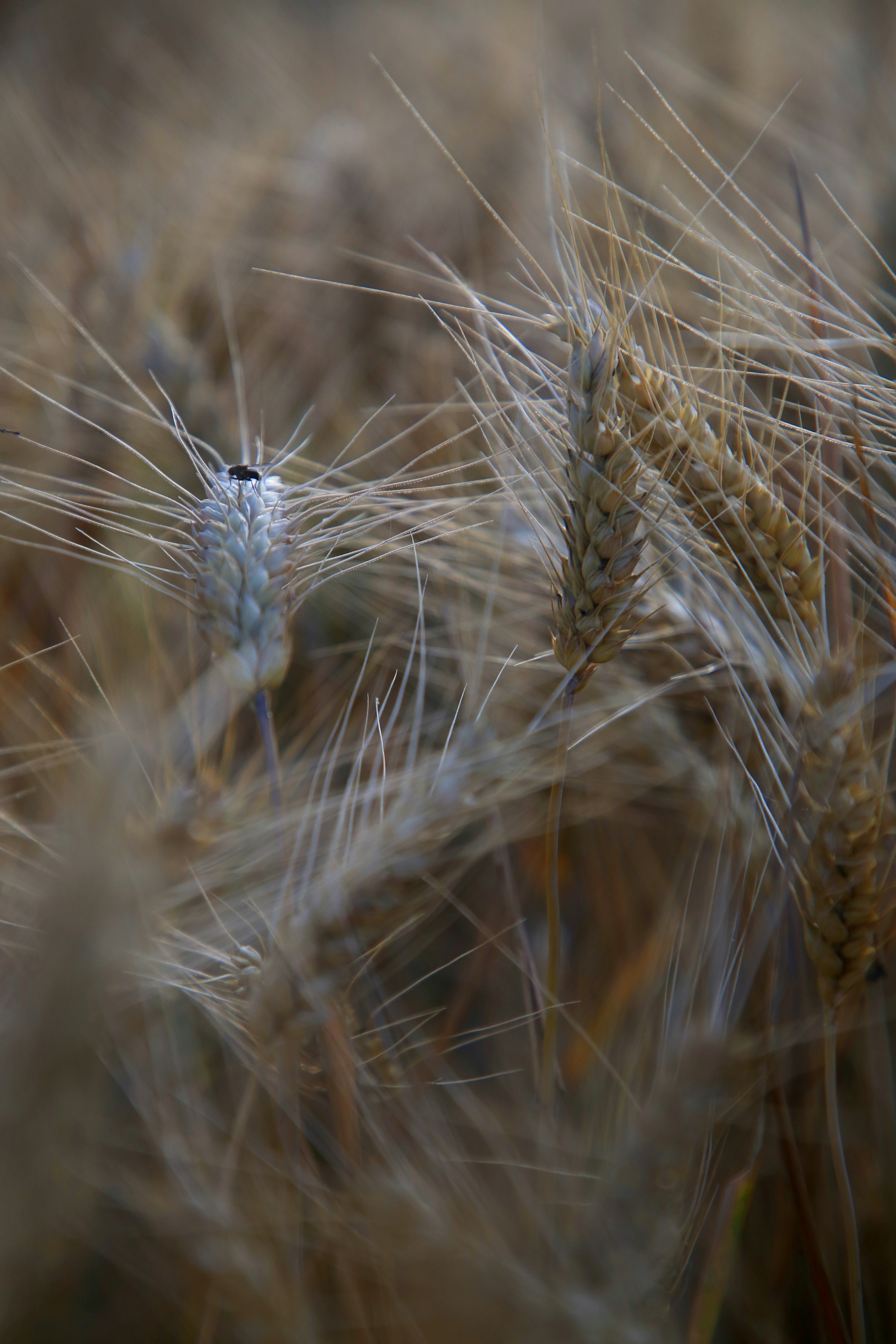 Photo by nathalie_spehner