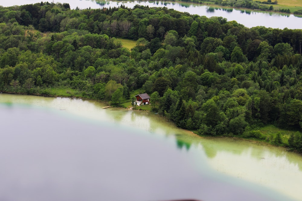 brown wooden house on river delta with trees