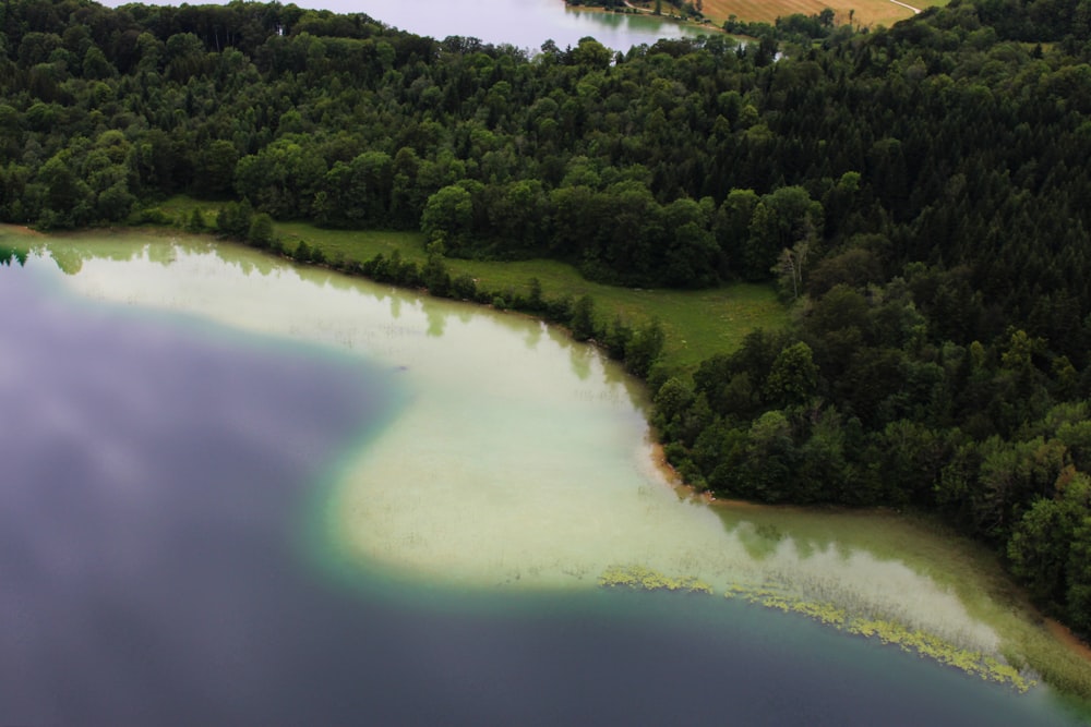 an aerial view of a lake surrounded by trees