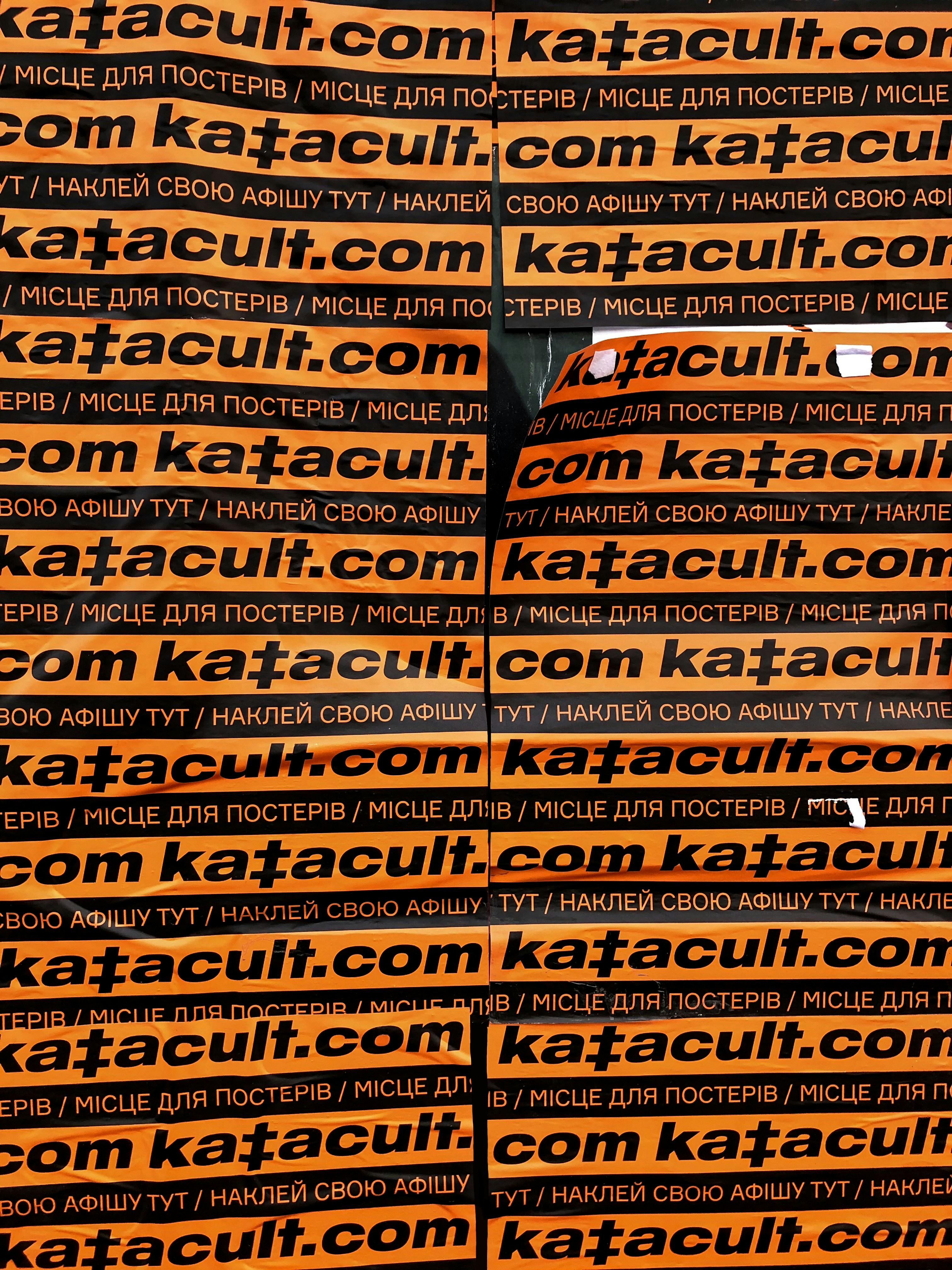 photo-1563307126-1aa37133909c?ixid=M3wxMjA3fDB8MXxzZWFyY2h8M3x8Y2hhdGdwdCUyMDR8ZW58MHx8fHwxNzM2MTU5ODM3fDA%5Cu0026ixlib=rb-4.0.3