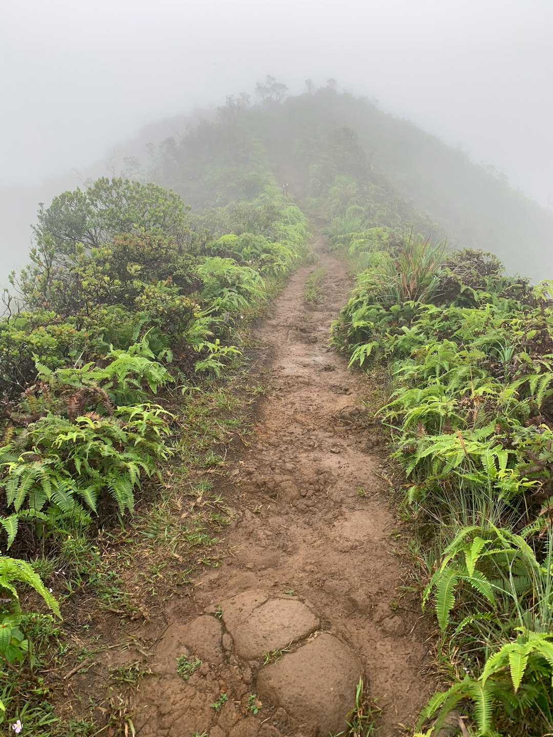 Hill station photo spot Wiliwilinui Ridge Trail Honolulu