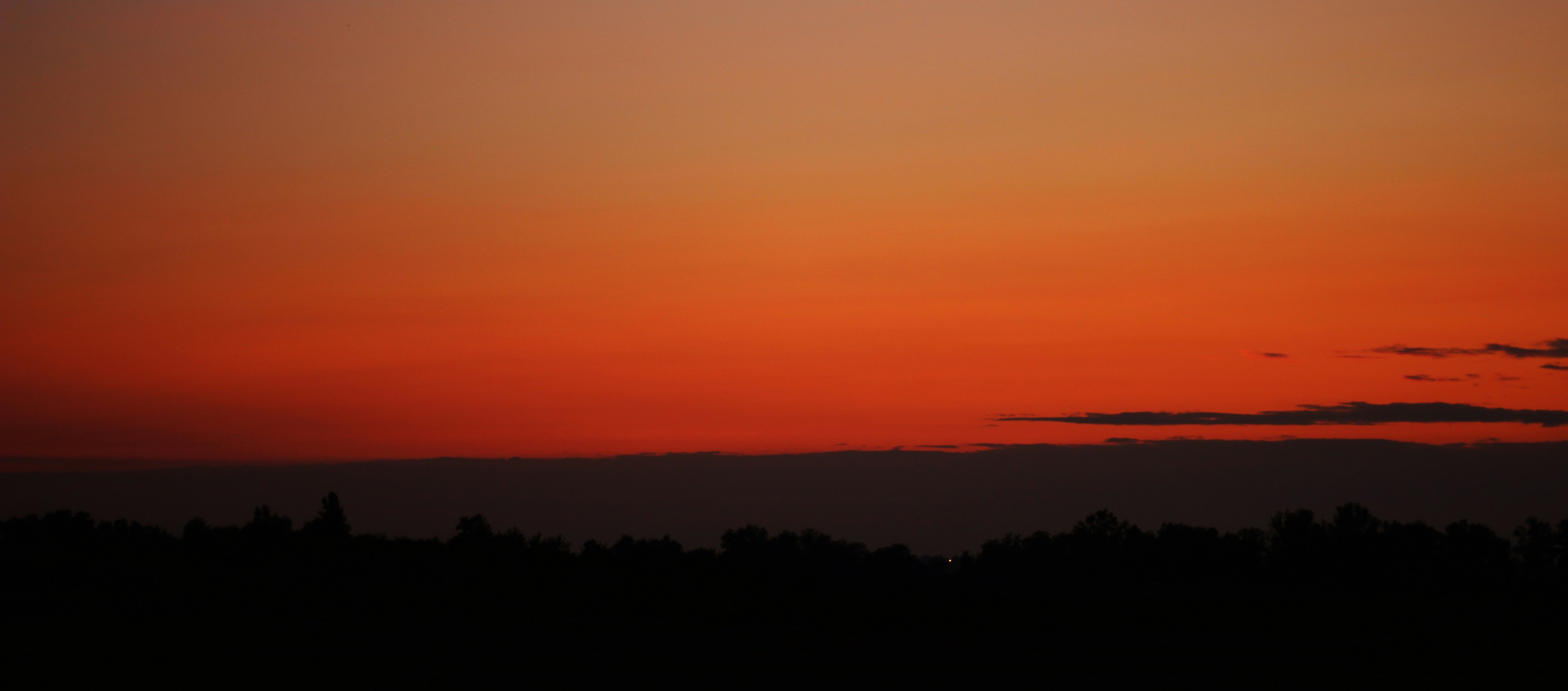 Photo by micheleguan