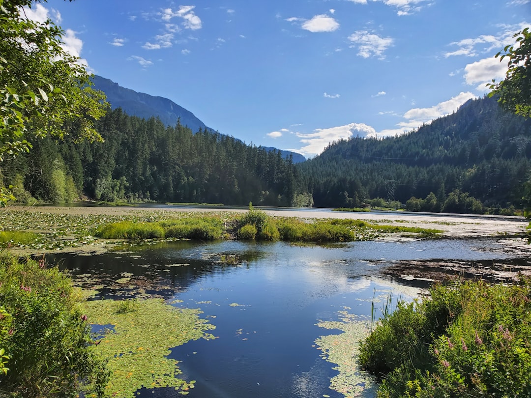 Nature reserve photo spot Unnamed Road Squamish River