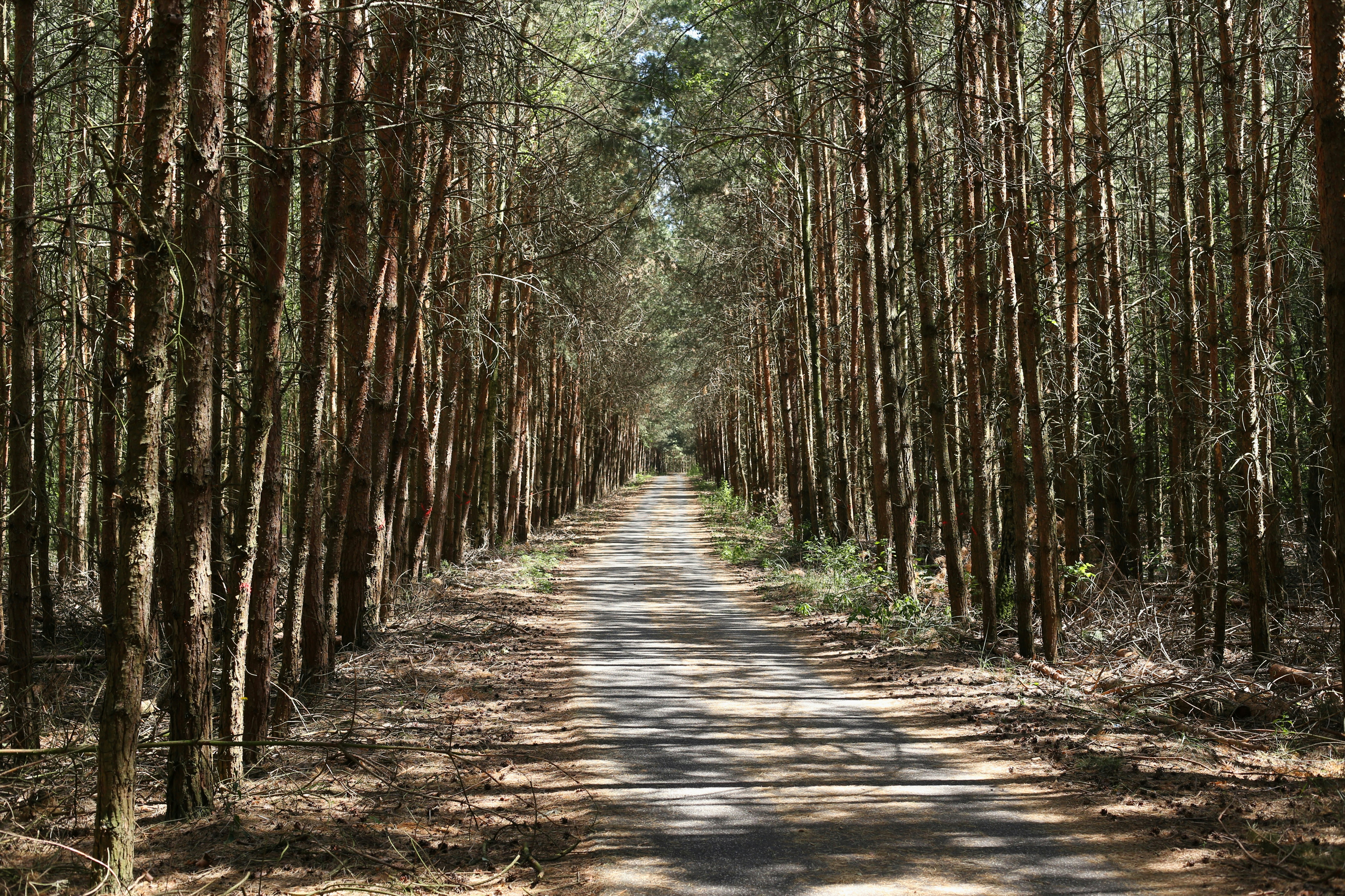 Photo by herrherrmann