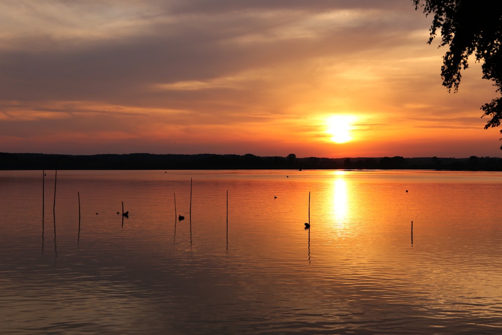 body of water during golden hour