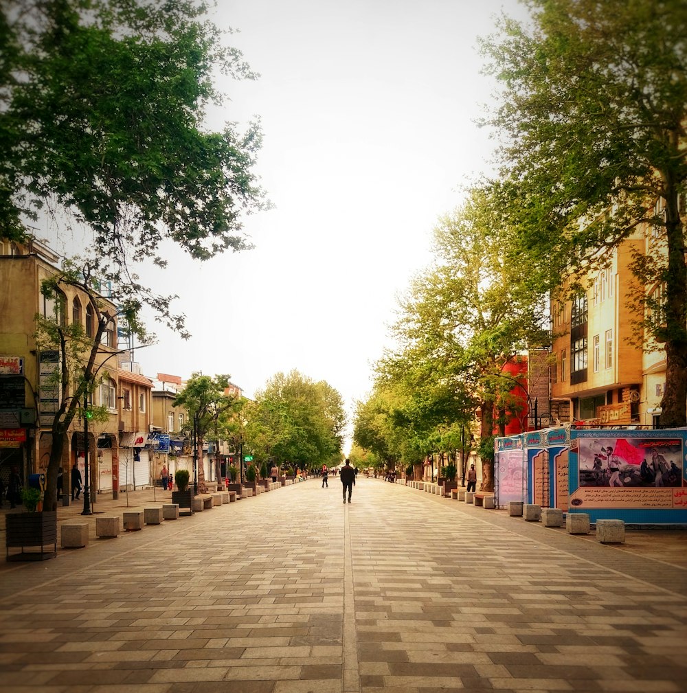 people walking along pathway