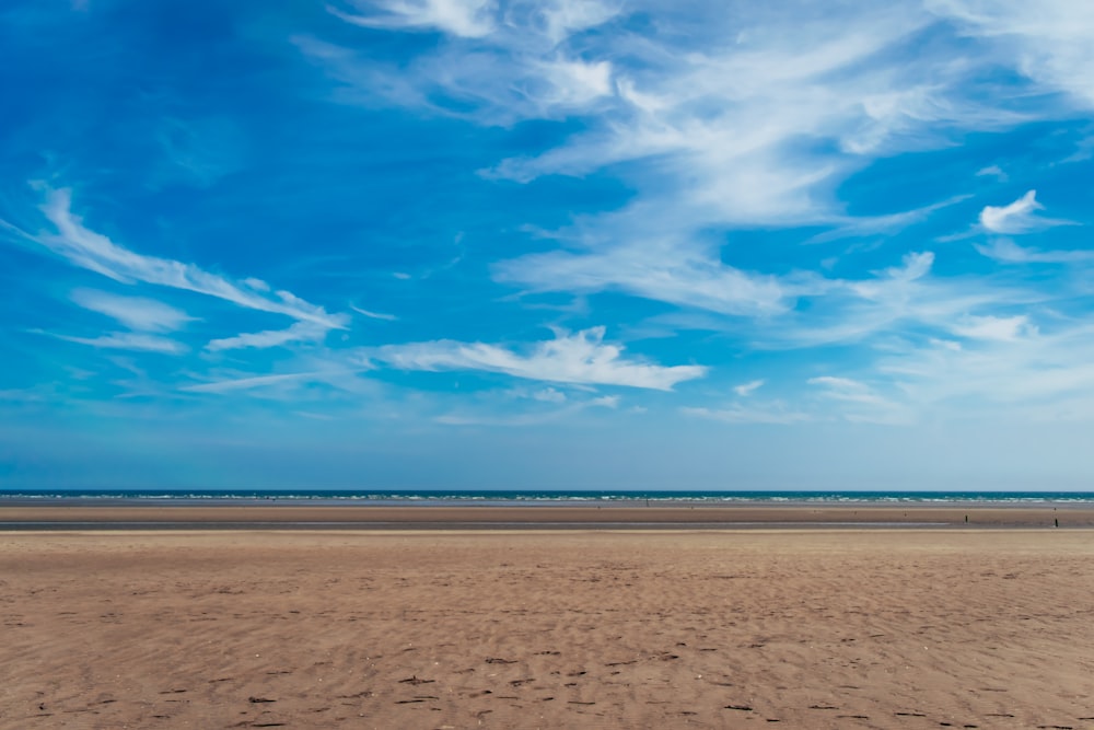 seashore during daytime