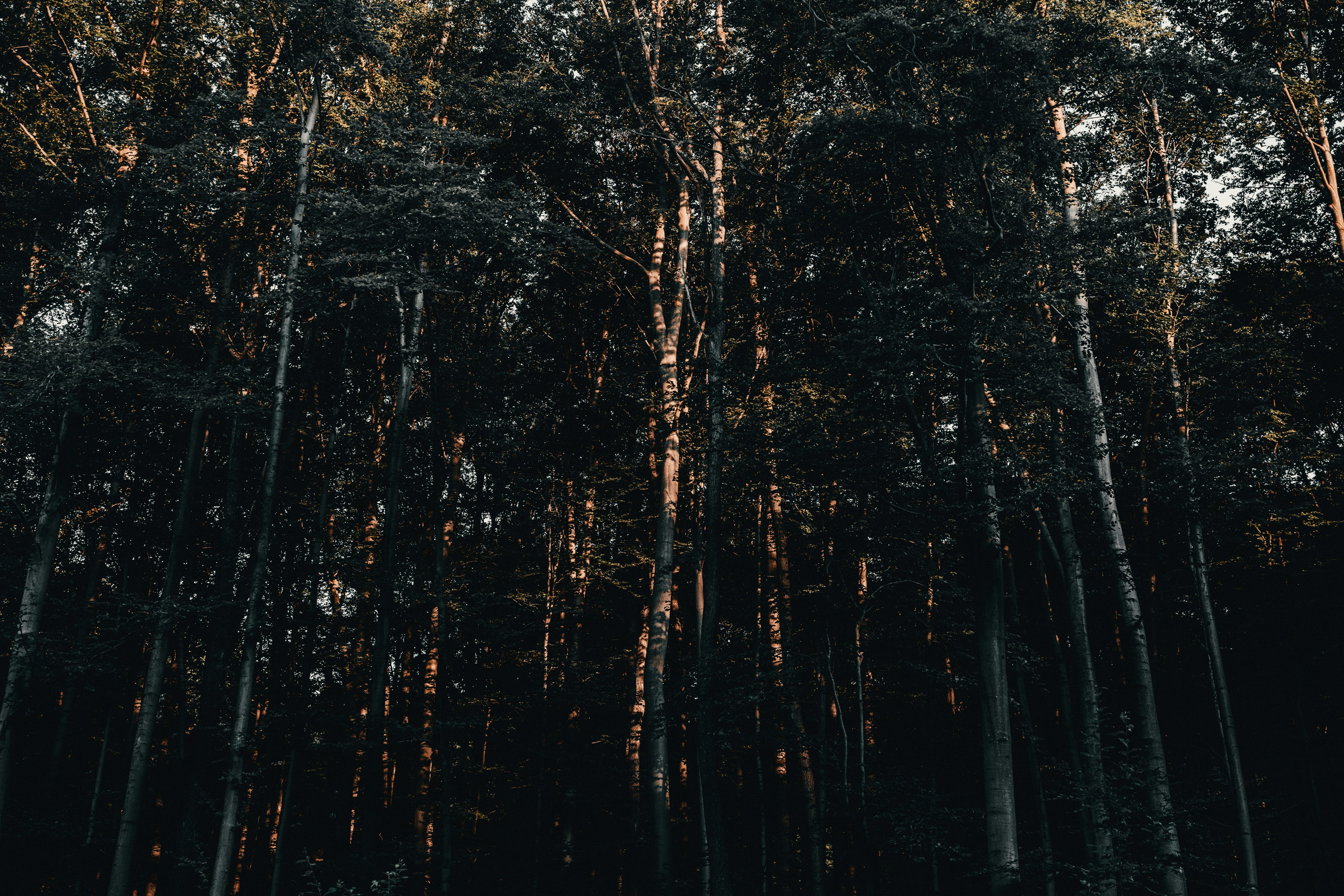 Photo by ballaschottner