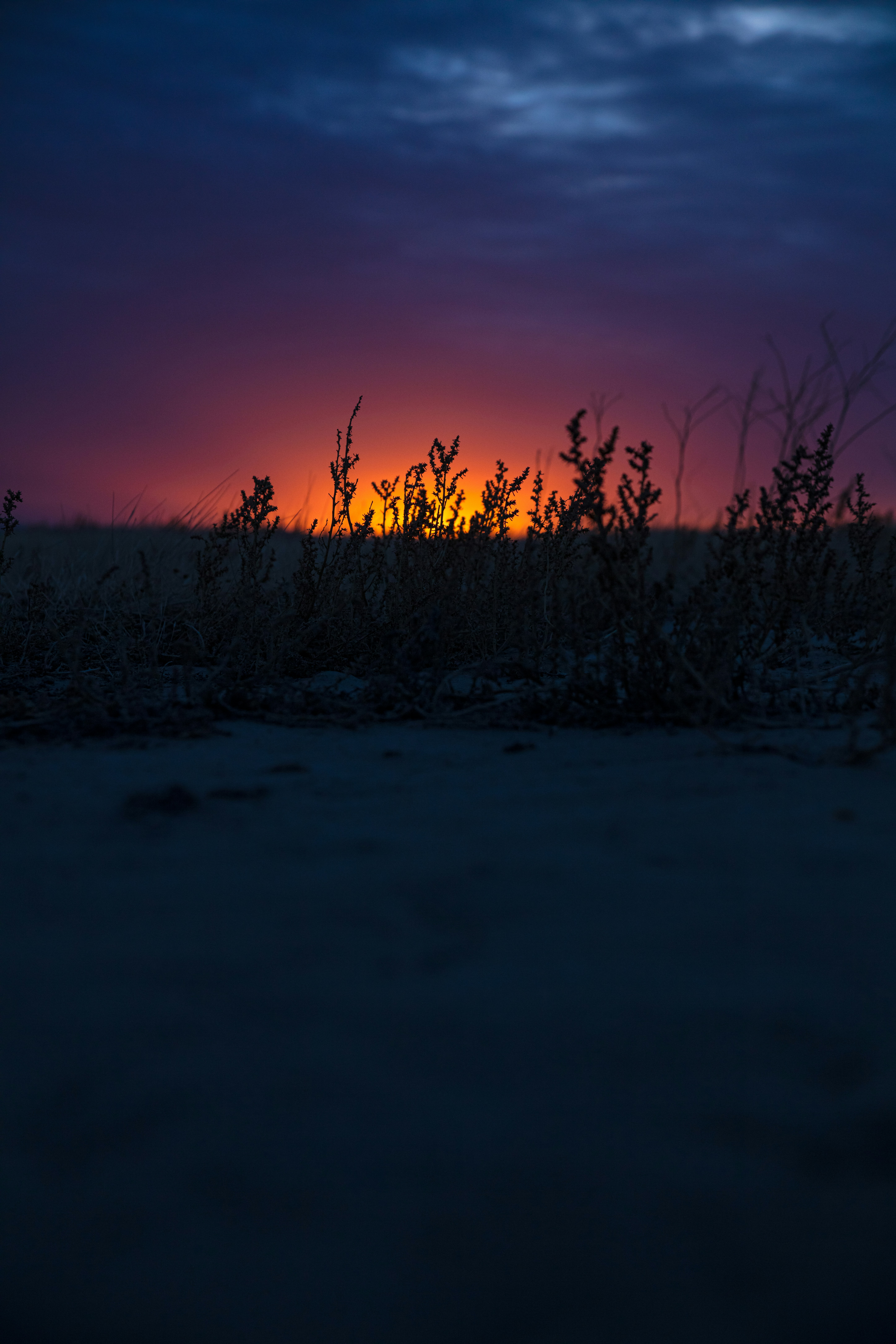 Photo by worldsbetweenlines