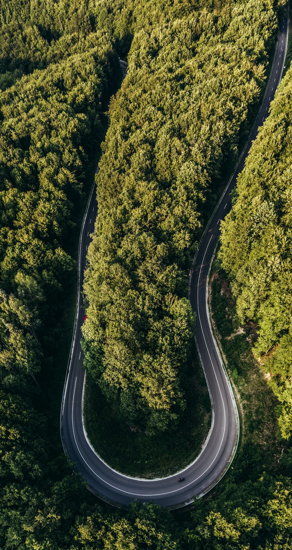 uma estrada sinuosa no meio de uma floresta