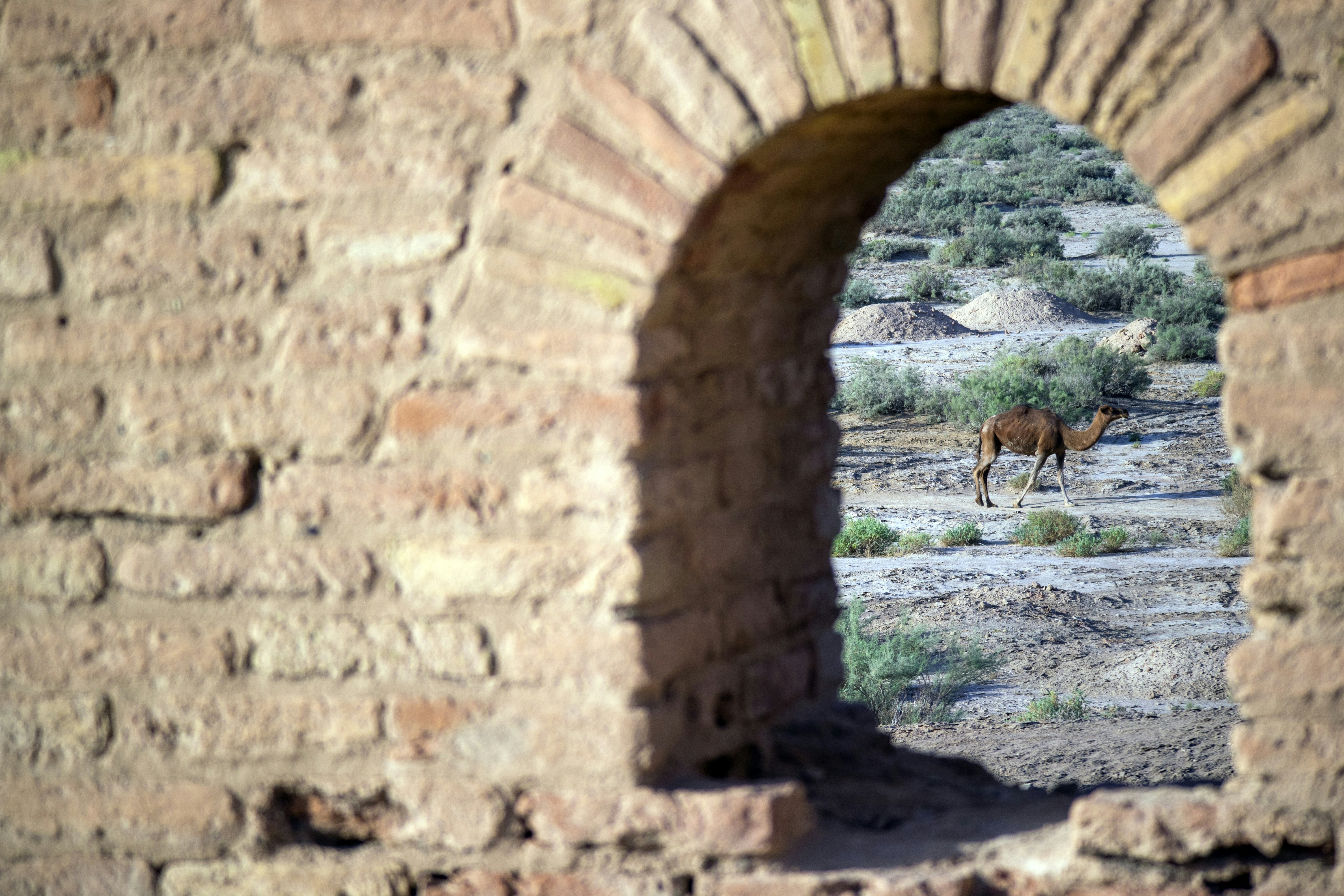 Crypto Daily Alpha – 2 October 2024: Bitcoin Rebounds to $61K Amid Israel-Iran Tensions