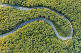 An abstract aerial view of winding roads cutting through lush green forests.