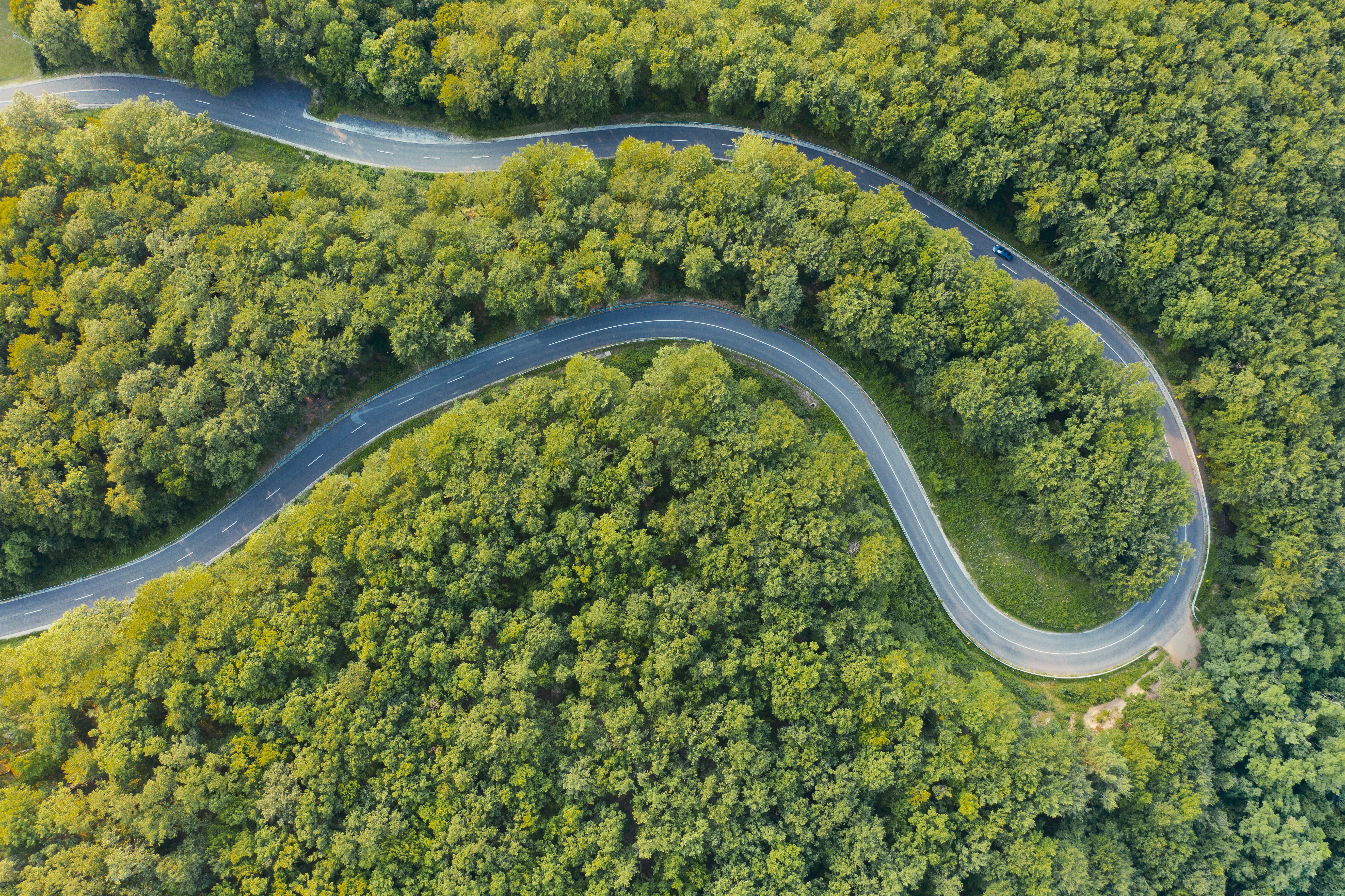 photo-1563311548-58c79b951121?ixid=M3wxMjA3fDB8MXxzZWFyY2h8OXx8dm95YW5jZSUyMDI0JTIwMjQlMjBpbW0lQzMlQTlkaWF0ZXxlbnwwfHx8fDE3MDM5MzYxMTF8MA\u0026ixlib=rb-4.0.3