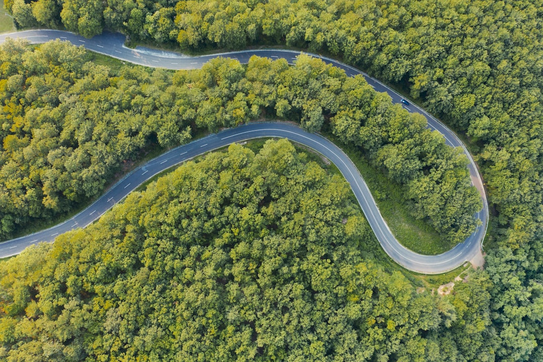 a winding road in the middle of a lush green forest,