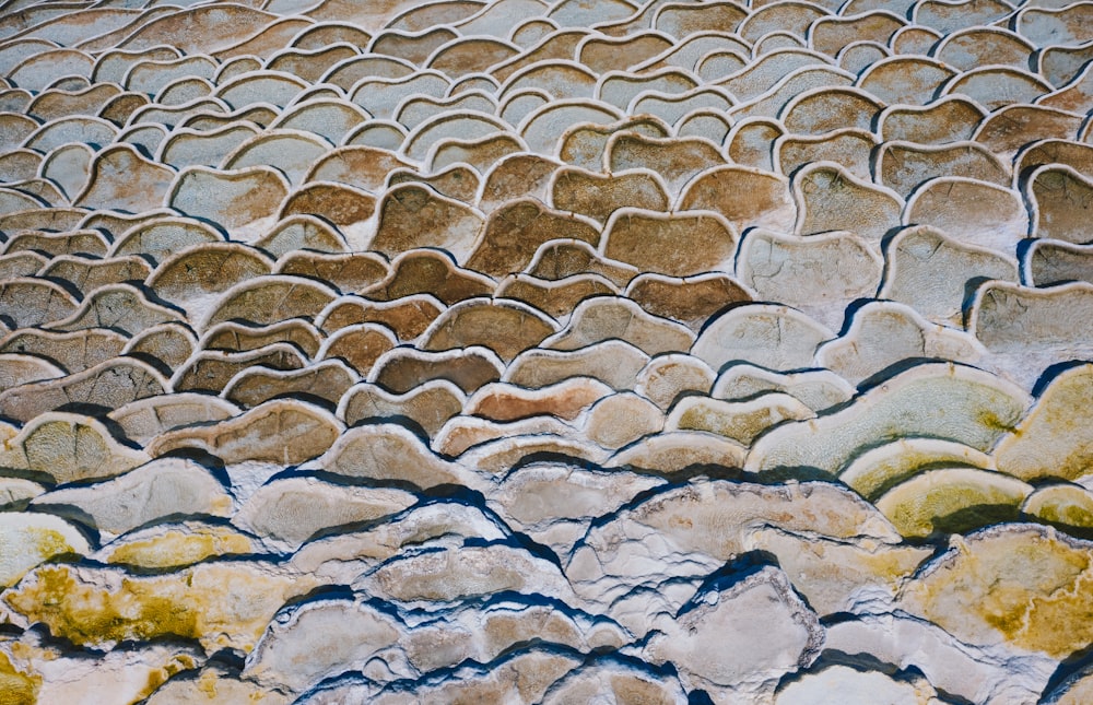 a close up of a rock wall with yellow moss growing on it