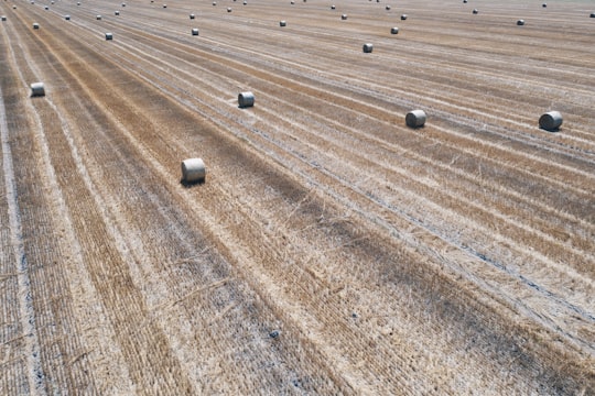 hay field in Detk Hungary