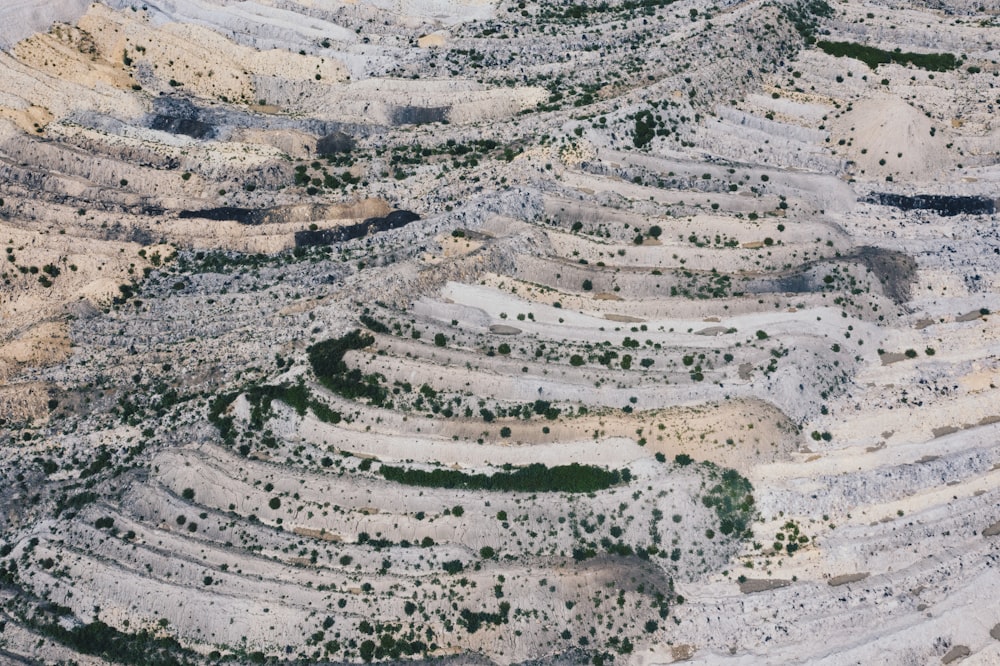 an aerial view of a rocky area with trees growing out of it