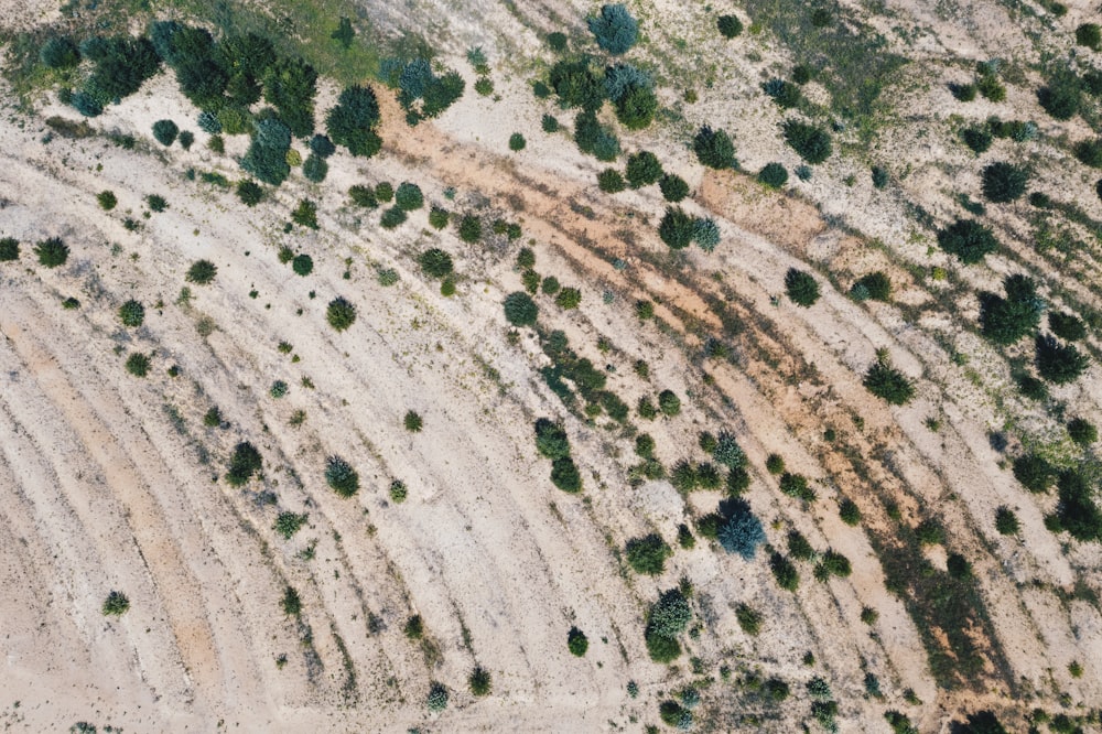 an aerial view of a dirt field with trees