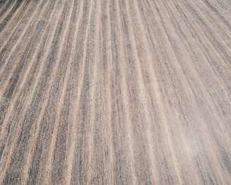 grey and brown wooden surface