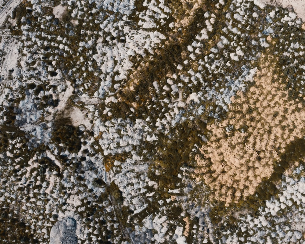 Fotografia de close-up têxtil de fúria marrom
